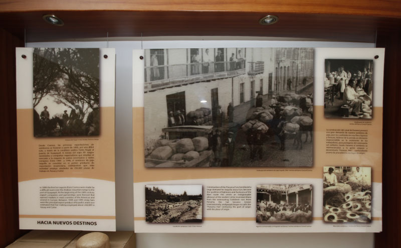 パナマハットの歴史の展示